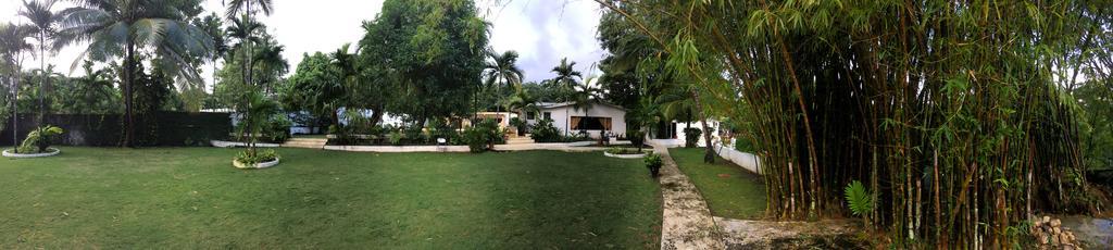 San San Tropez Hotel Port Antonio Eksteriør billede